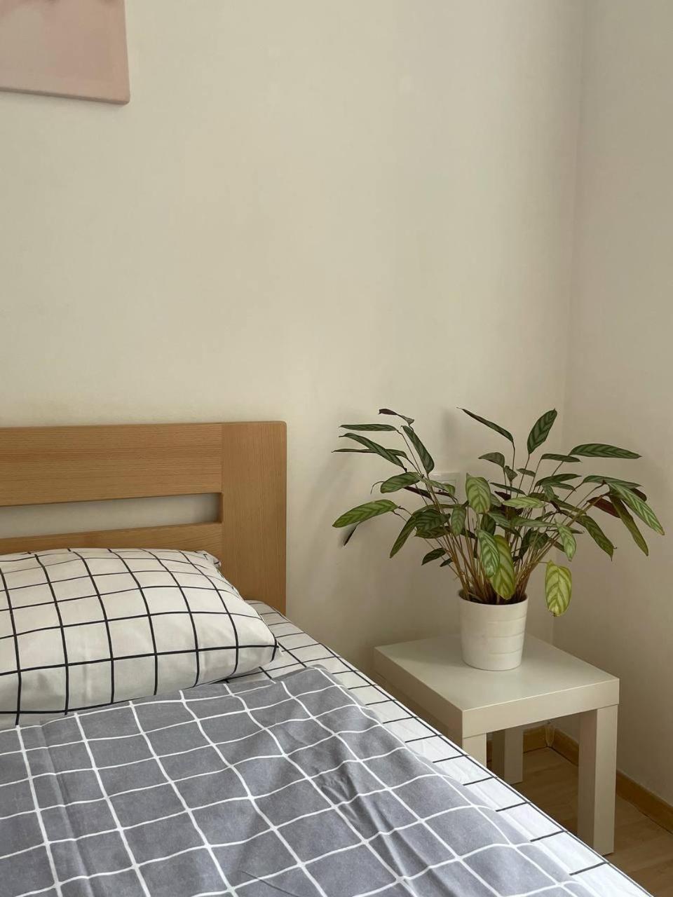 Apartaments Simsim Liov Exterior foto